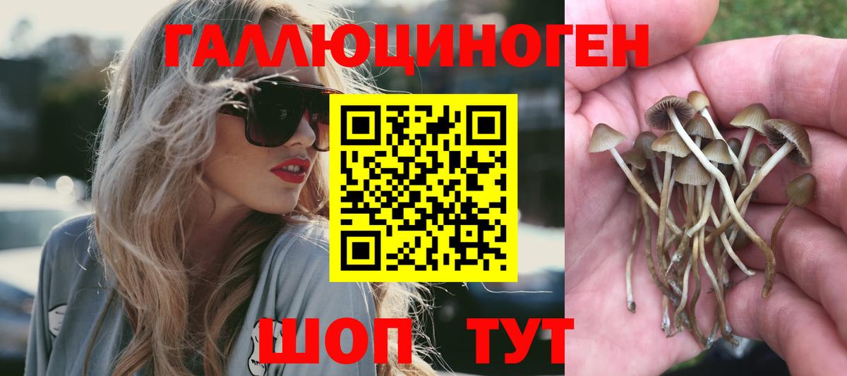 Галлюциногенные грибы мицелий  Вход с VPN  Псилоцибиновые грибы Psilocybine cubensis  Петропавловск-Камчатский 
